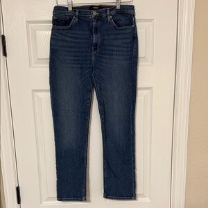 Hudson Jeans Indigo Denim